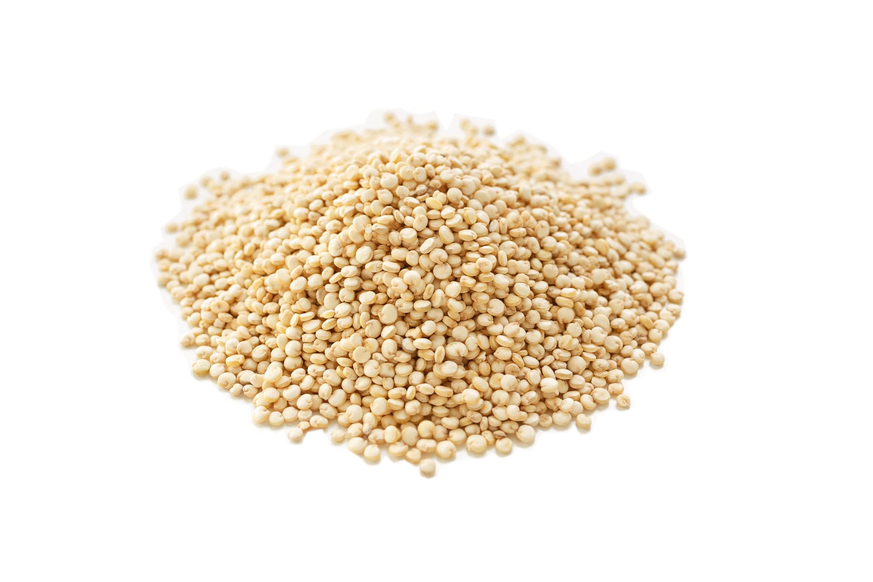 Semilla de quinoa